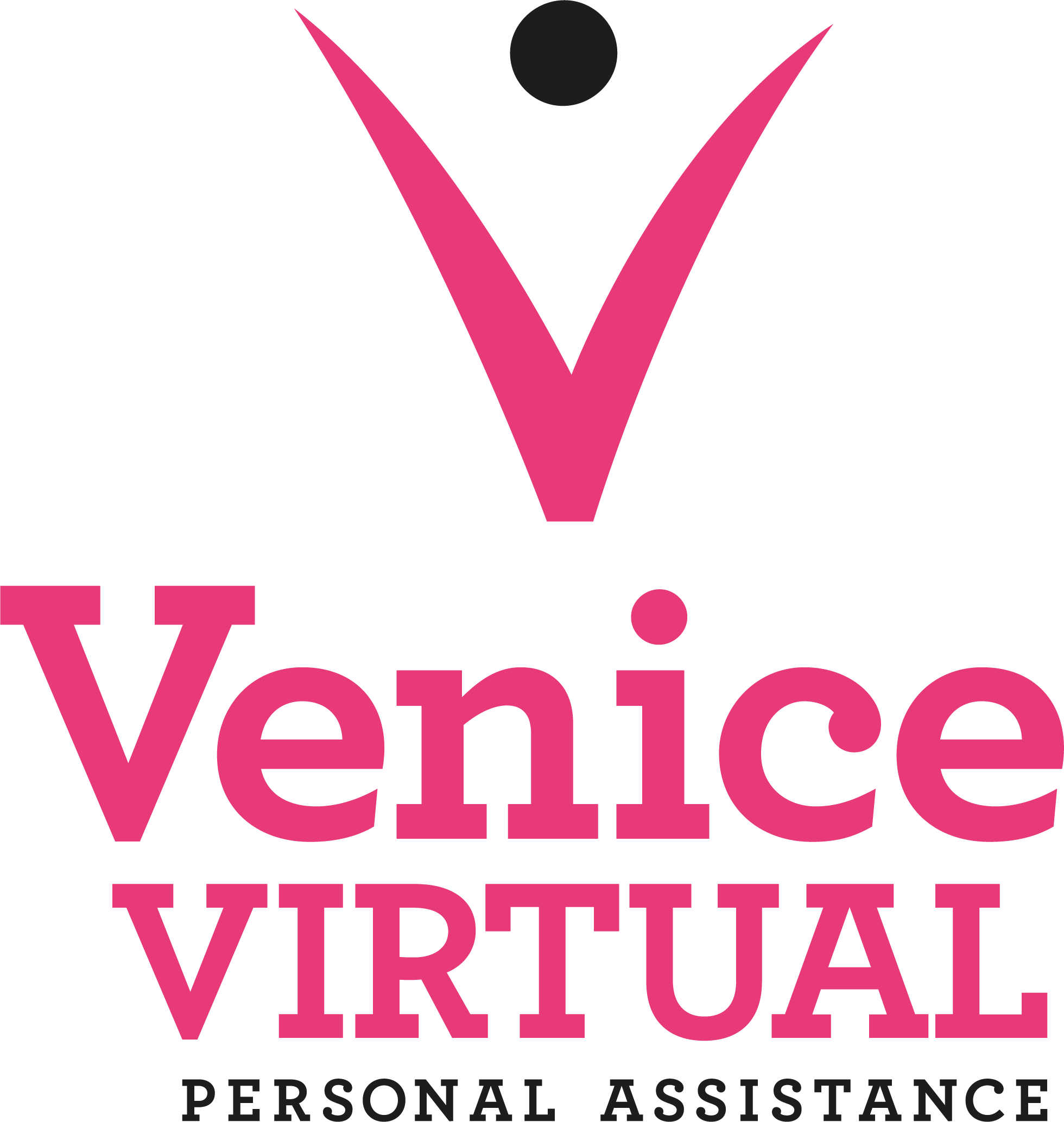 Venice Virtual Services Ltd logo